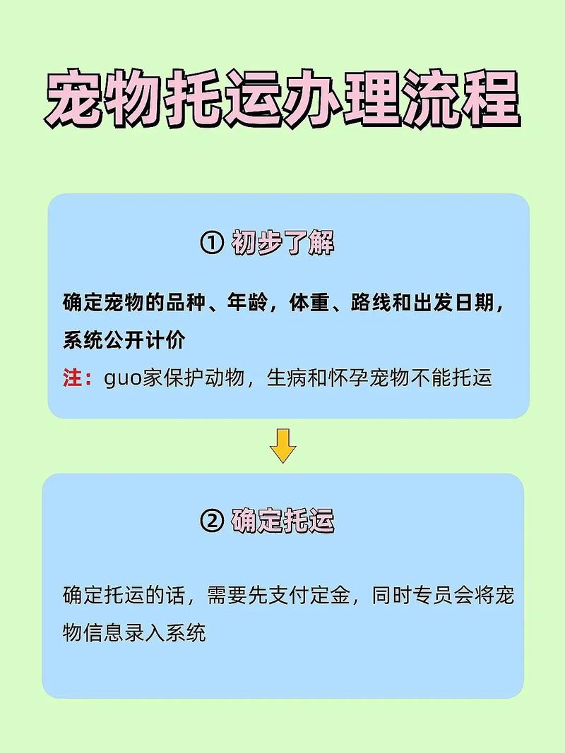 如何玩转轩辕传奇的宠物系统全方位指南